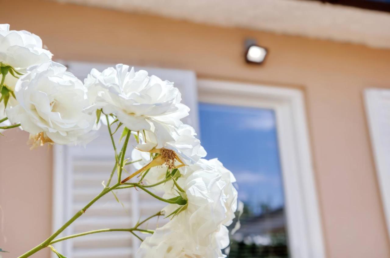 Holiday House "Laurus Garden" With Private Parking Медулин Екстериор снимка
